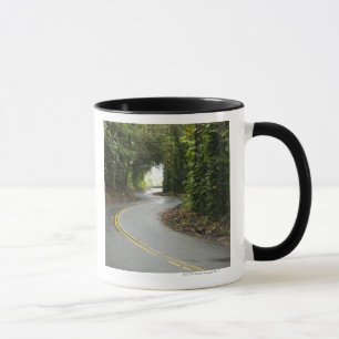 Winding roads through rainforest, Island of Mug