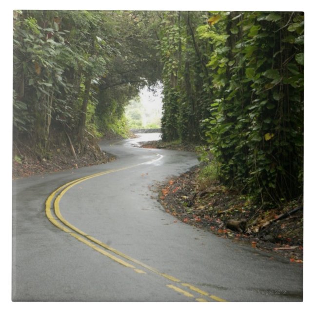 Winding roads through rainforest, Island of Tile (Front)