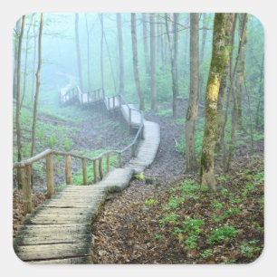 Winding Wooden Stairs Through the Woods Square Sticker