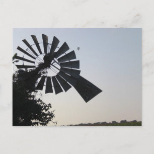 Windmill 2 Postcard