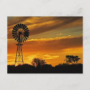 Windmill and Sunset, William Creek, Oodnadatta Postcard