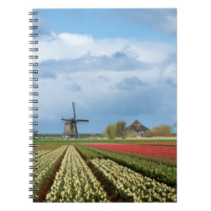 Windmill and tulips landscape notebook