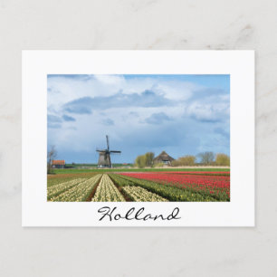 Windmill and tulips landscape white postcard
