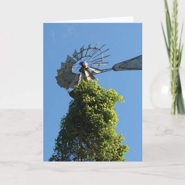 Windmill and Vines Card (Front)