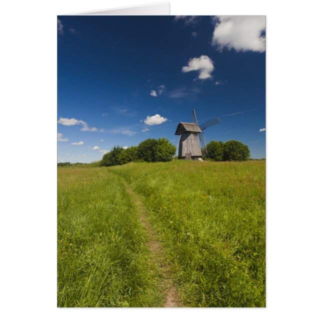 Windmill at Mikhailovskoye (Front)