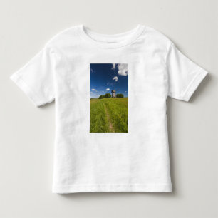 Windmill at Mikhailovskoye Toddler T-Shirt