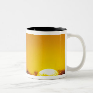 Windmill at sunset, Sinton, Texas, USA Two-Tone Coffee Mug