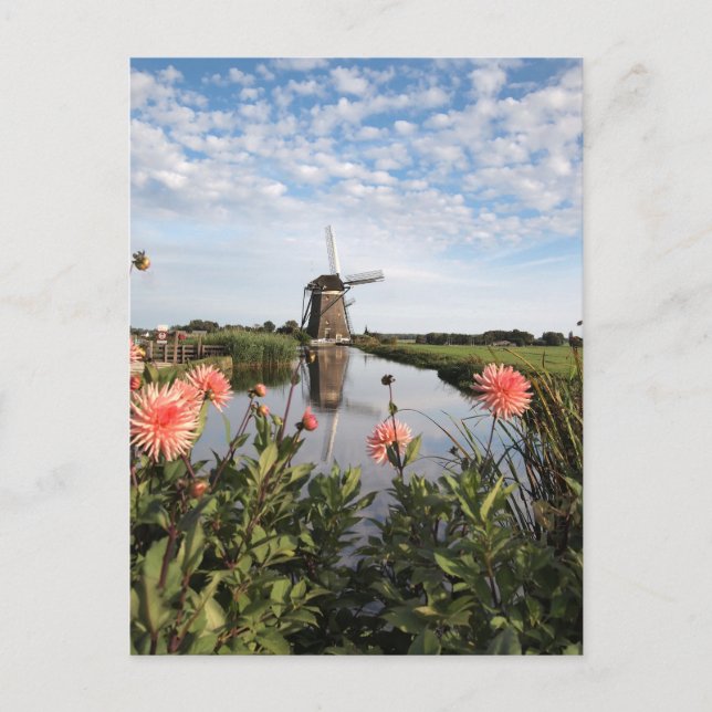 Windmill, flowers in Holland vertical postcard (Front)