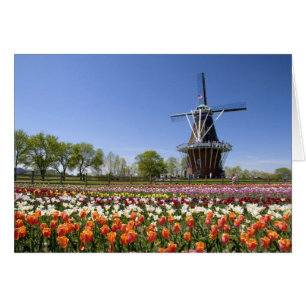 Windmill Island park with tulips in bloom at