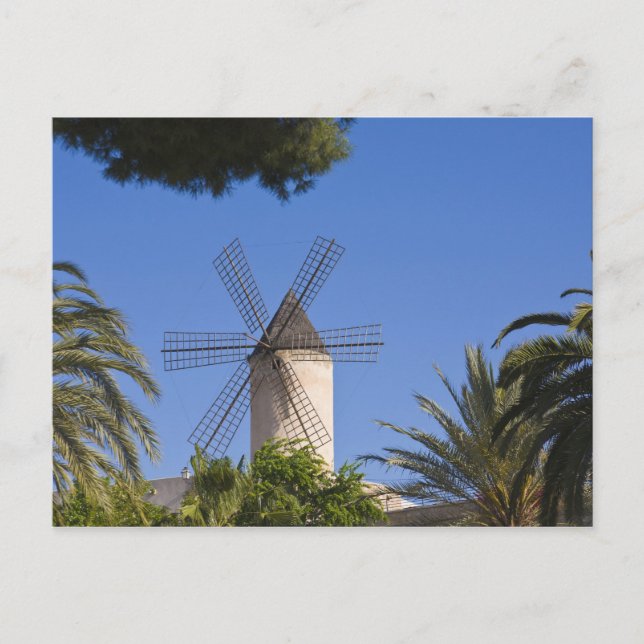 Windmill, Palma, Mallorca, Spain Postcard (Front)