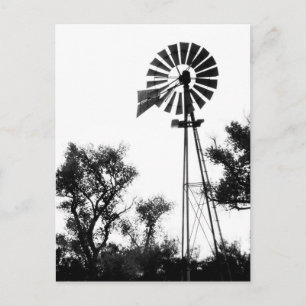 Windmill Postcard