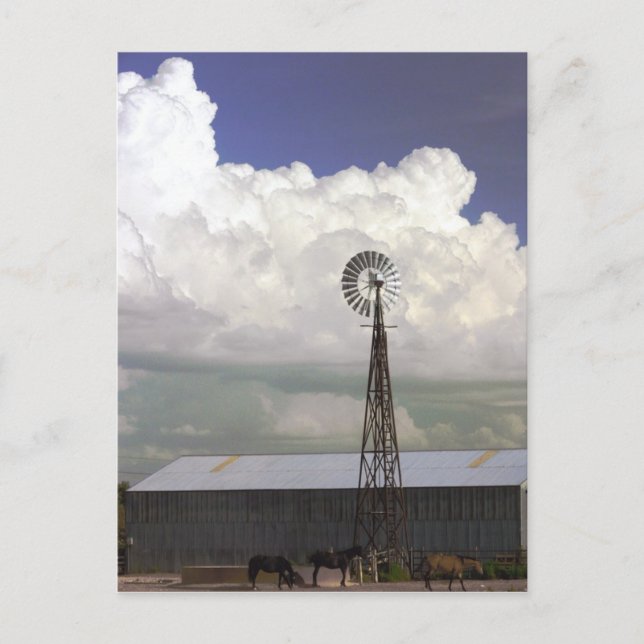 Windmill Postcard (Front)