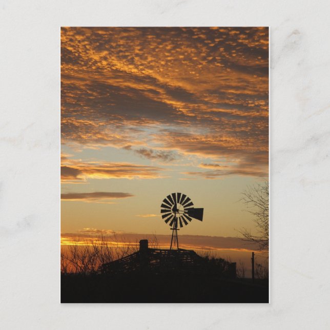 Windmill sunset postcard (Front)