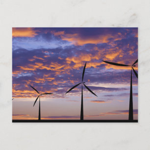 Windmill Turbine at Sunset Postcard