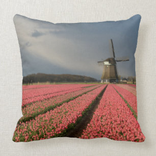 Windmill with pink tulips in spring cushion