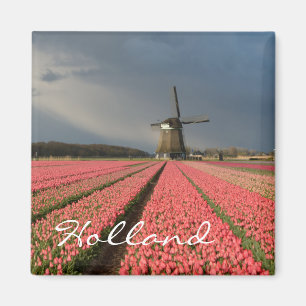 Windmill with pink tulips in spring magnet