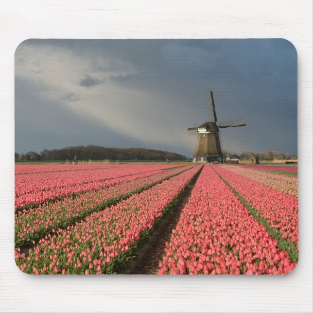 Windmill with pink tulips in spring mouse pad (Front)