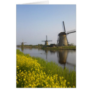 Windmills along the canal in Kinderdijk,