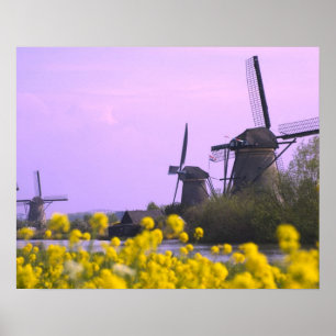 Windmills along the canal in Kinderdijk, Poster