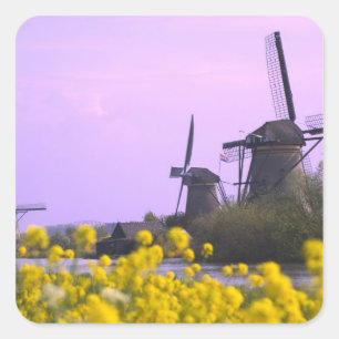 Windmills along the canal in Kinderdijk, Square Sticker
