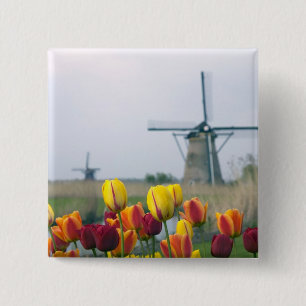 Windmills and tulips along the canal in 15 cm square badge