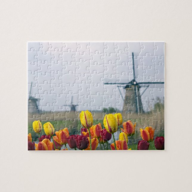 Windmills and tulips along the canal in jigsaw puzzle (Horizontal)