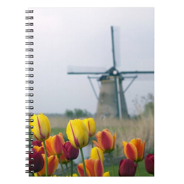 Windmills and tulips along the canal in notebook (Front)