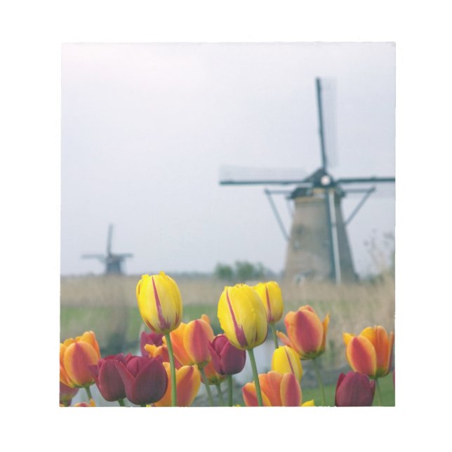 Windmills and tulips along the canal in notepad (Front)