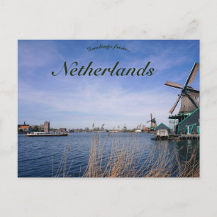 Windmills in Amsterdam Netherlands Postcard
