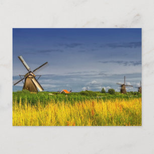 Windmills in Kinderdijk, Holland, Netherlands Postcard