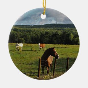 Windmills in the Distance Ceramic Ornament