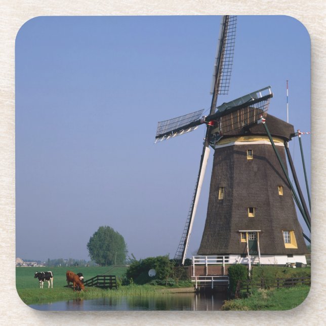 Windmills, Leidschendam, Netherlands Coaster (Front)