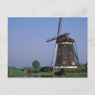 Windmills, Leidschendam, Netherlands Postcard