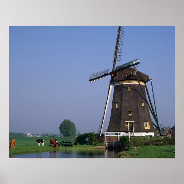 Windmills, Leidschendam, Netherlands Poster (Front)