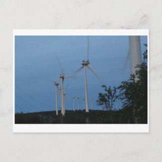Windmills Postcard