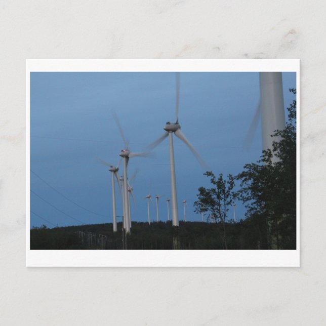 Windmills Postcard (Front)