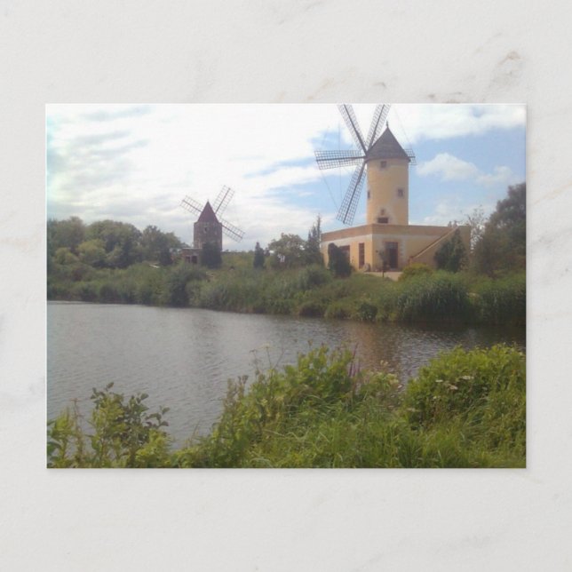 Windmühlenmuseum Gifhorn Postcard (Front)