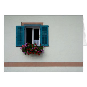 Window
