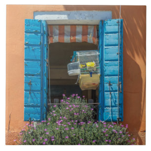 Window and birdcage ceramic photo tile