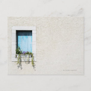 Window and window-box of flowers in plain wall postcard