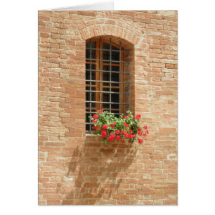 Window box
