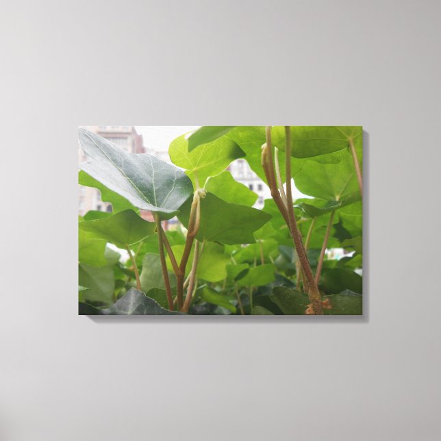 Window Canvas Print (Front)