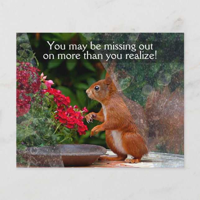 WINDOW CLEANING BUSINESS 4x5 Customisable PROMO Flyer (Front)