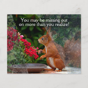 WINDOW CLEANING BUSINESS 4x5 Customisable PROMO Flyer