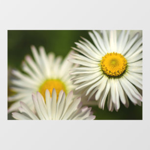 Window Cling - Daisy Flowers Floral Photography