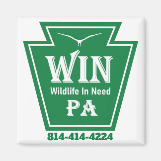 Window Cling Magnet