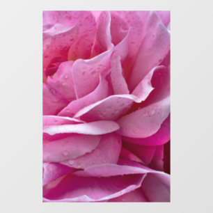 Window Cling - Pink Rose Petals And Dew Drops