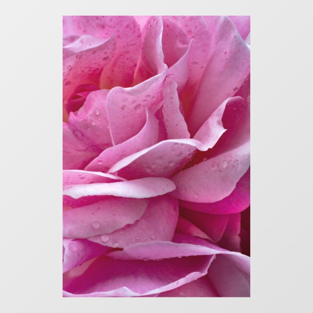 Window Cling - Pink Rose Petals And Dew Drops (Sheet)