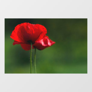 Window Cling - Poppies Floral Photography
