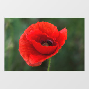 Window Cling - Poppy Elegance